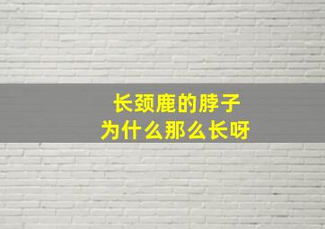 长颈鹿的脖子为什么那么长呀