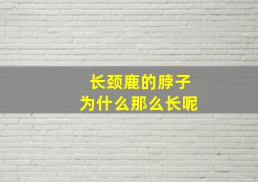 长颈鹿的脖子为什么那么长呢