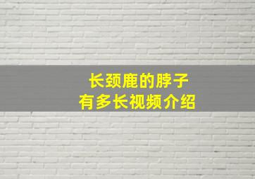 长颈鹿的脖子有多长视频介绍