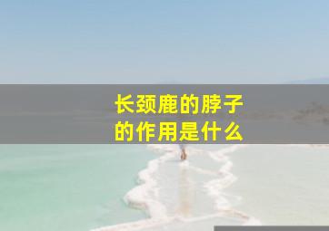 长颈鹿的脖子的作用是什么