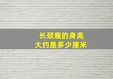 长颈鹿的身高大约是多少厘米