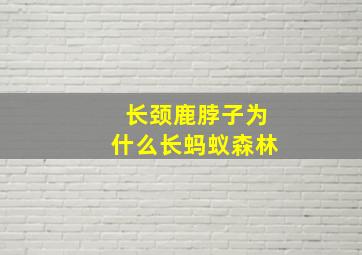 长颈鹿脖子为什么长蚂蚁森林