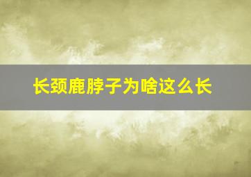 长颈鹿脖子为啥这么长