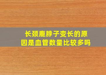 长颈鹿脖子变长的原因是血管数量比较多吗