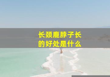 长颈鹿脖子长的好处是什么