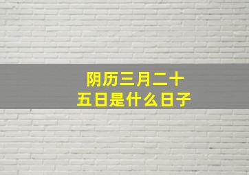 阴历三月二十五日是什么日子