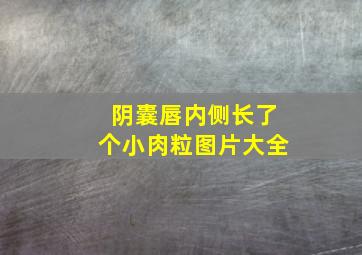 阴囊唇内侧长了个小肉粒图片大全