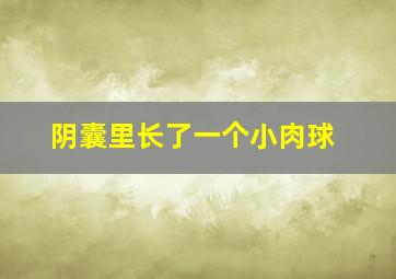 阴囊里长了一个小肉球