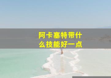 阿卡塞特带什么技能好一点