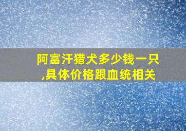 阿富汗猎犬多少钱一只,具体价格跟血统相关