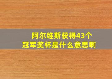 阿尔维斯获得43个冠军奖杯是什么意思啊