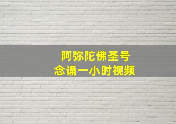 阿弥陀佛圣号念诵一小时视频