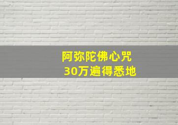 阿弥陀佛心咒30万遍得悉地