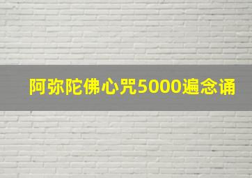 阿弥陀佛心咒5000遍念诵