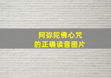 阿弥陀佛心咒的正确读音图片