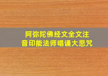 阿弥陀佛经文全文注音印能法师唱诵大悲咒