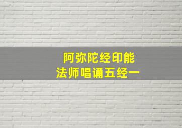 阿弥陀经印能法师唱诵五经一