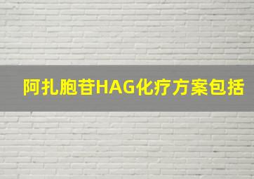 阿扎胞苷HAG化疗方案包括