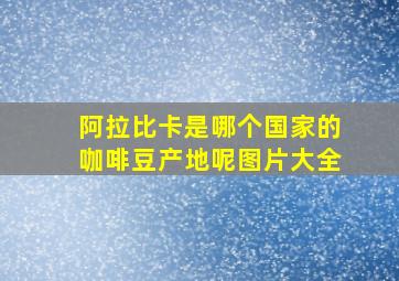 阿拉比卡是哪个国家的咖啡豆产地呢图片大全