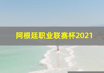 阿根廷职业联赛杯2021