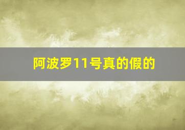 阿波罗11号真的假的