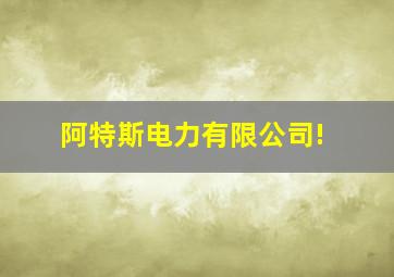 阿特斯电力有限公司!