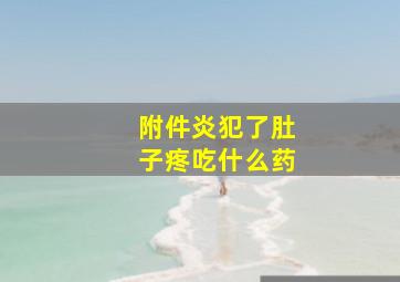 附件炎犯了肚子疼吃什么药