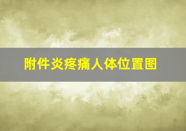 附件炎疼痛人体位置图