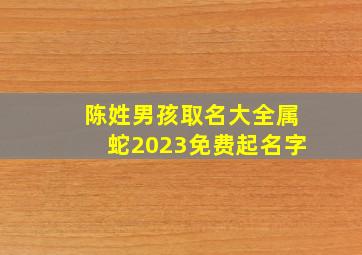 陈姓男孩取名大全属蛇2023免费起名字