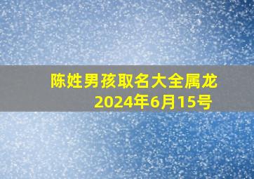 陈姓男孩取名大全属龙2024年6月15号