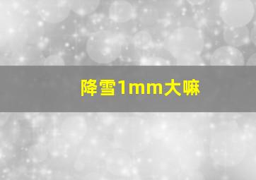 降雪1mm大嘛