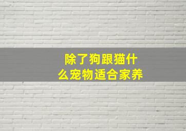 除了狗跟猫什么宠物适合家养