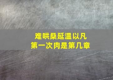 难哄桑延温以凡第一次肉是第几章