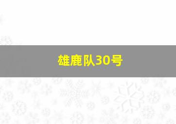 雄鹿队30号