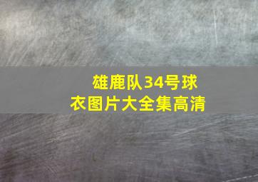 雄鹿队34号球衣图片大全集高清