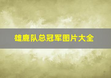 雄鹿队总冠军图片大全