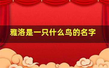 雅洛是一只什么鸟的名字