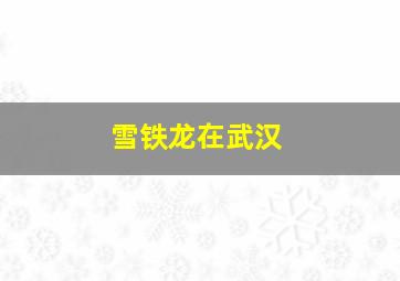 雪铁龙在武汉