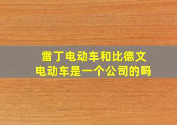 雷丁电动车和比德文电动车是一个公司的吗