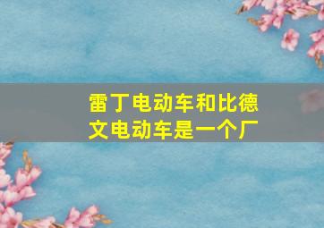 雷丁电动车和比德文电动车是一个厂