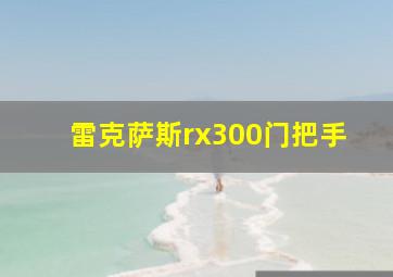 雷克萨斯rx300门把手