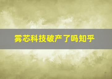 雾芯科技破产了吗知乎