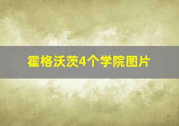 霍格沃茨4个学院图片