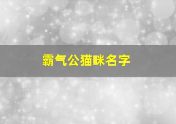 霸气公猫咪名字