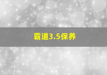 霸道3.5保养