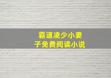 霸道凌少小妻子免费阅读小说