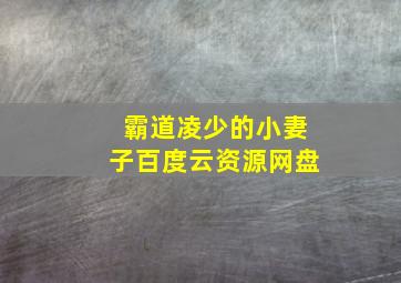 霸道凌少的小妻子百度云资源网盘