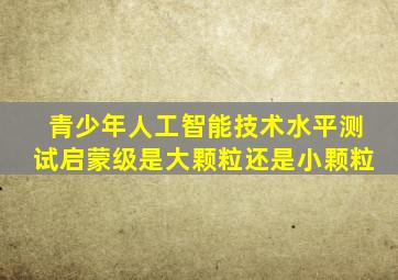 青少年人工智能技术水平测试启蒙级是大颗粒还是小颗粒