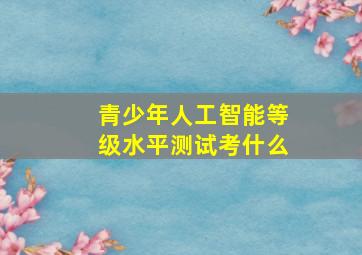 青少年人工智能等级水平测试考什么