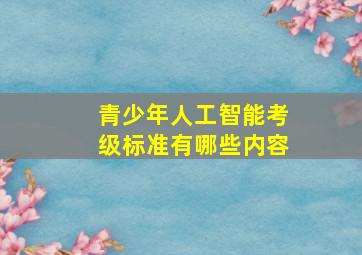 青少年人工智能考级标准有哪些内容